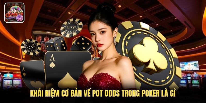 Khái niệm cơ bản về pot odds trong poker là gì